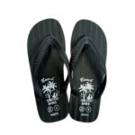 DSI FLIP FLOP