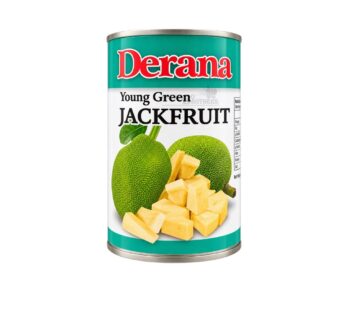 Derana Young Green Jack Fruit 540g